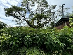 Avenue South Residence (D3), Apartment #480326701